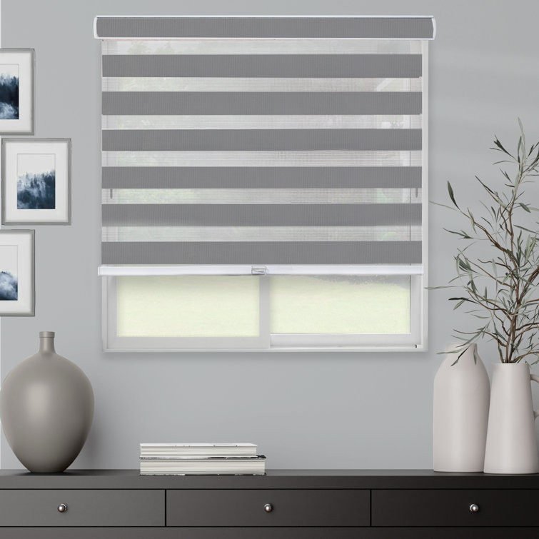 Latitude Run® Premium Room Darkening Roller Shade & Reviews Wayfair